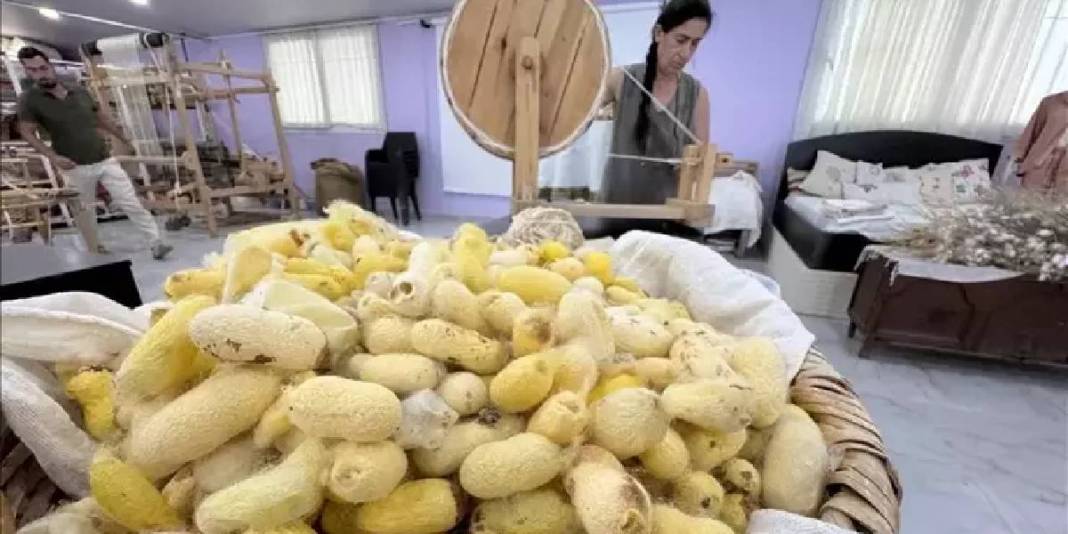 Depremde kaybetti, bir avuç yumurtayla devam etti! Hepsine gözü gibi bakıyor: Bir tür onun sayesinde devam ediyor 1